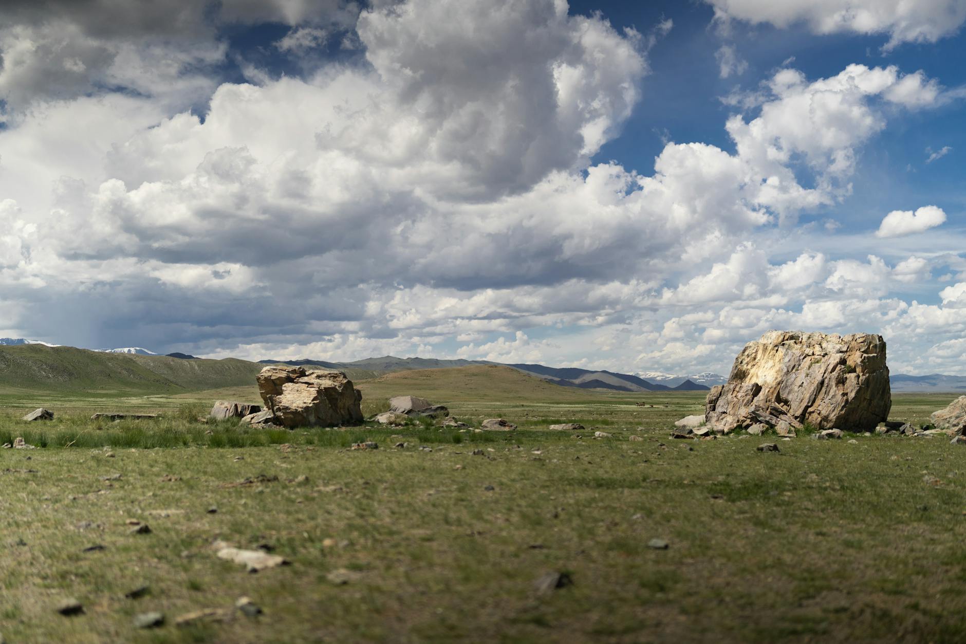 Vast steppe landscapes of Akmola region